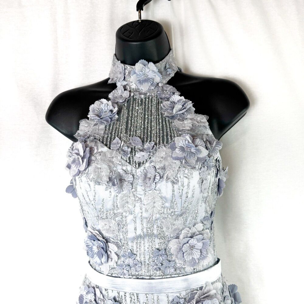 Portia and Scarlett Silver Dress prom dress evening gown purple new with tag p